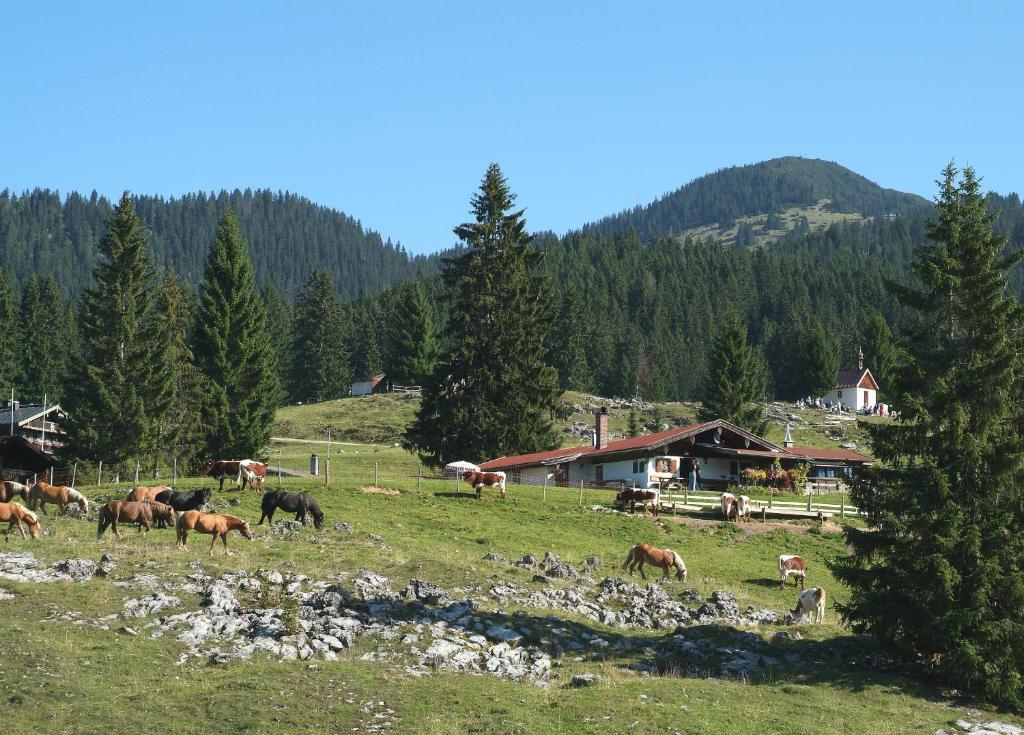 Gaestehaeuser Schwemmbauer Райт-им-Винкль Экстерьер фото